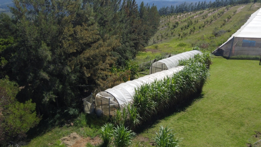 Commercial Property for Sale in Mossel Bay Rural Western Cape